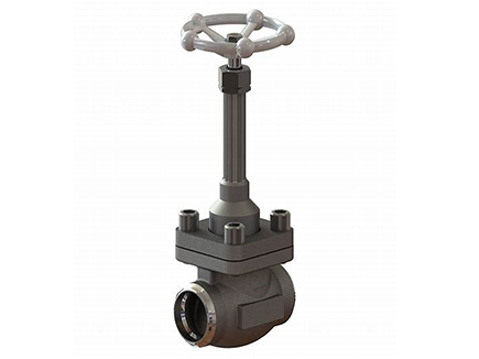 Cryogenic valve